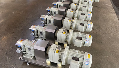 chocolate stainless steel cam rotor pump